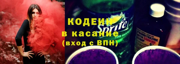 сатива Аркадак