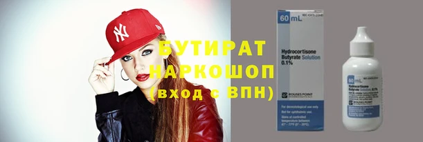 сатива Аркадак