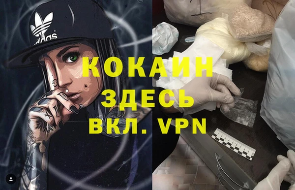 сатива Аркадак