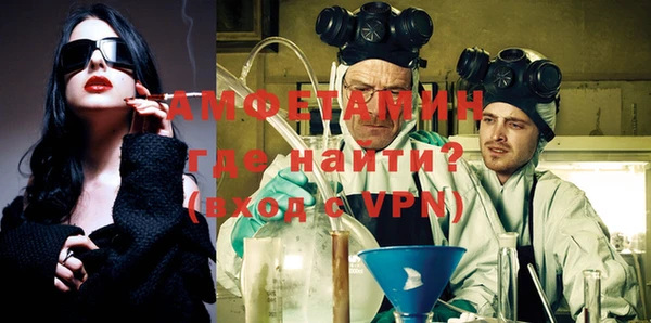 сатива Аркадак