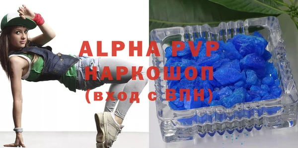 МДПВ Пересвет